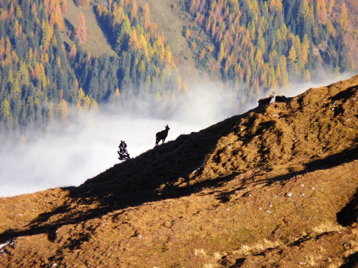 Apart Alpenflair เนาดาส ภายนอก รูปภาพ