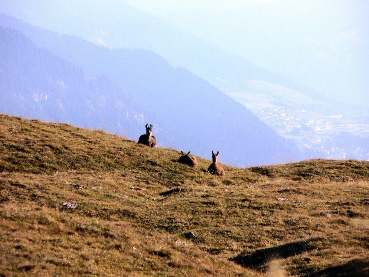 Apart Alpenflair เนาดาส ภายนอก รูปภาพ